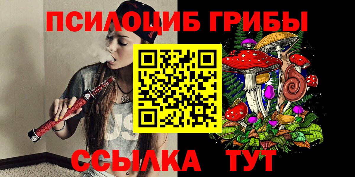 Галлюциногенные грибы Psilocybine cubensis  Вход с VPN  Вязники 